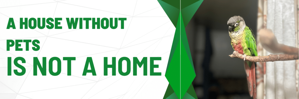 a house without pets is not a home